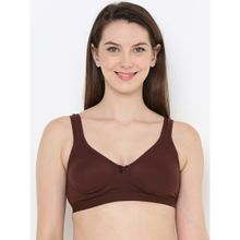 Berry's Intimatess Brown Color Non-Wired & Non Padded with Full Coverage Bra
