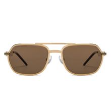 John Jacobs Gold Brown Full Rim Square JJ Rhapsody JJ S15464-C1 Sunglasses (54 mm)