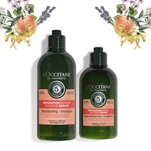 L'Occitane Damaged Hair Combo With Shampoo + Conditioner