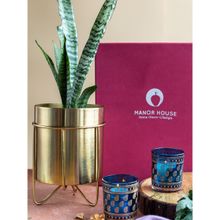 Manor House Waves and Paisley Gift Set