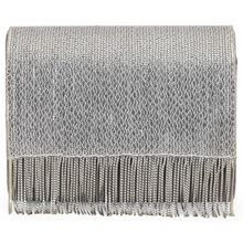 Tarini Nirula Samba Silver Clutch