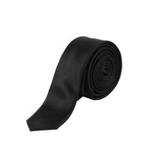 Alvaro Castagnino Mens 100 Percent W.Silk Necktie