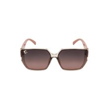 Clark N Palmer Brown Gradient Lens Square Sunglasses For Women-CNP-ST113-C5 (56)
