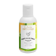 Clovia Botaniqa Anti Hair Fall Mini Shampoo With Tea Tree Oil & Rosemary Extract