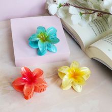 Soho Boho Studio Multi-Color Flower Claw Clip Spring Bloom (Pack of 3)