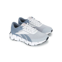 Reebok ZIG DYNAMICA 2.0 Grey Running Shoes