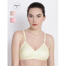 Abelino Multi-Color Pack Of 3 Non-Wired Non Padded Full Coverage Bra