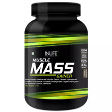 INLIFE Muscle Mass Gainer Chocolate Protein Powder with Whey Protein