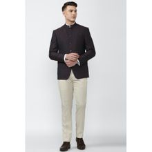 Peter England Men Purple Two Piece Suit (set Of 2)