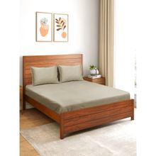 Saral Home Sheen Shine 100% Cotton Bed Sheet with 2 Pillow Cover Beige (Queen)