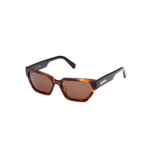 Swarovski Sunglasses Brown Acetate Sunglasses SK0348 53 52E