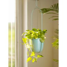 Nurturing Green Mint Green Hanging Metal Pot Stand with Planter