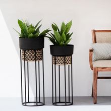 The Decor Remedy Handwork Cane Planters With Textured Matt Balck Finish Set Of Two