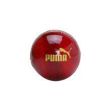 Puma CRICKET Mens Red Cricket Ball
