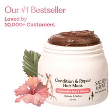 Sacred Grove Deep Conditioning Hair Mask Hair Mask For Dry And Frizzy Hair Repair & Hydrating Mask