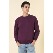Allen Solly Men Purple Crew Neck Full Sleeves Casual Sweatshirt