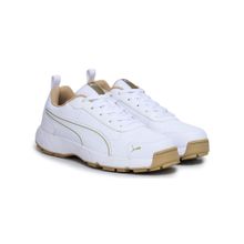 Puma Cricket Classicat White-Ethereal Bl Cricket Shoes