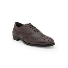 Red Tape Mens Solid Dark Brown Oxford Style Brogues Shoes
