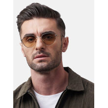 Shisen Fox Fuji Light Gold - Light Brown Frame Brown Lens Sunglasses (50)