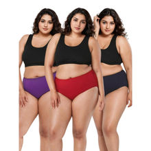 Adira Plus Size High Waisted Purple Maroon & Black Briefs (Pack of 3)