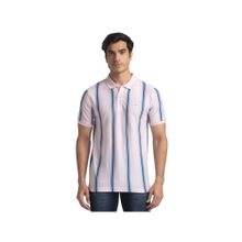 ColorPlus Tailopink Fit Stripes LightPolo T-shirt