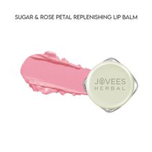 Jovees Herbal Sugar & Rose Petal Replenishing Lip Balm