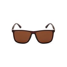 Royal Son Square Polarized Men Women Sunglasses Brown Lens - CHI00122-C2