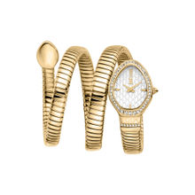 Just Cavalli Silver Dial Carezza Analogue Women Casual Watch (JC1L372M0025) (M)