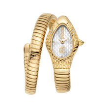 Just Cavalli Silver Dial Vetra Analogue Women Casual Watch (JC1L373M1025) (M)