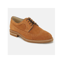 U.S. POLO ASSN. Tan LUMER Stylish Smart Casual Brogues