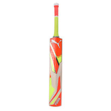 Puma Future 1.1 English Willow Men Green Cricket Bat (Short Handle)