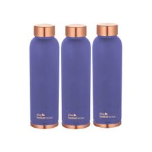 The Better Home Copper Bottle 950 ml Purple Pack of 3