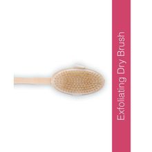 Global Beauty Secrets Dry Brush With Removable Wood Handle