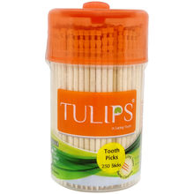 Tulips Toothpicks Wooden Jar