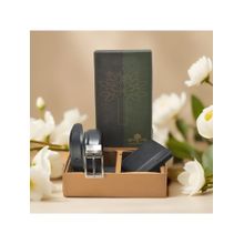WOODLAND Black Belt Wallet Gift Pack
