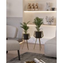 The House of Trendz Architect Approved Tripod Set - Black & Gold