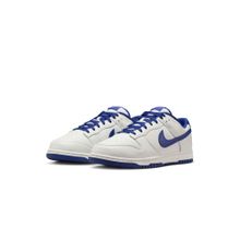 Nike Mens Dunk Low Retro Sneakers