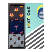Mint & Oak Fox In A Box Pack Of 3 Socks For Men - Multi-Color (Free Size)