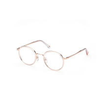 Web Eyewear Gold Round Frames WE5369 47 033