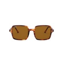 Ray-Ban 0RB1973 Dark Brown Polarized Icons Square Sunglasses (53 mm)