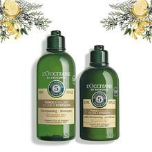 L'Occitane Volumising Hair Combo With Shampoo & Conditioner Contains Rosemary Oil