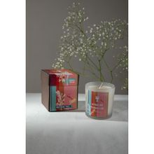 Freedom Tree Evening Tuberose Natural Soy Scented Candle