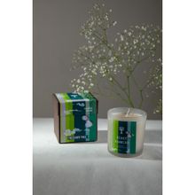 Freedom Tree Night Jasmine Natural Soy Scented Candle