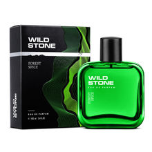 Wild Stone Forest Spice Perfume For Him