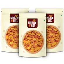 Ministry of Nuts Special Seedless Raisins - Premium Raisin - Pack Of 3