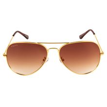 Equal Brown Color Sunglasses Aviator Shape Full Rim Gold Frame