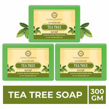 Ayusoul Ayurveda Handmade Tea Tree Bath Soap (Pack of 3)