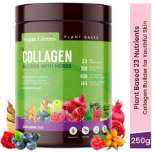Vegan Greens Collagen Builder with Herbs Powder - Classic Natural