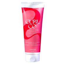 The Curl Co Soft Hold Curl Cream 2-In-1 Styling Cream With Leave-In Conditioner & Soft Hold Gel