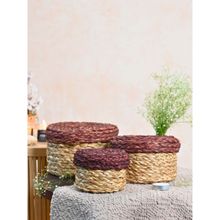 KADAM HAAT Handmade Sabai Gift Box- Brown Set of 3